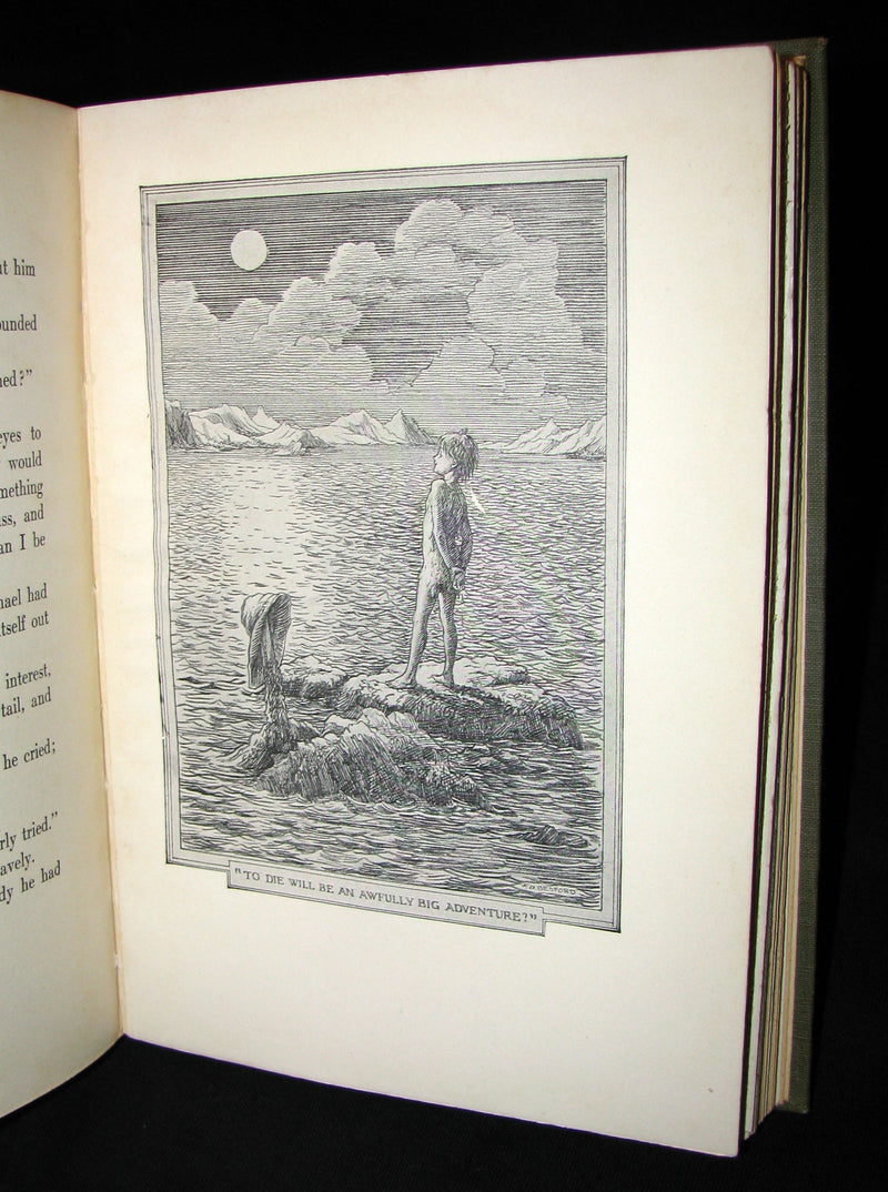 1911 Rare Book  - Peter Pan First Edition - Peter and Wendy by James Matthew Barrie