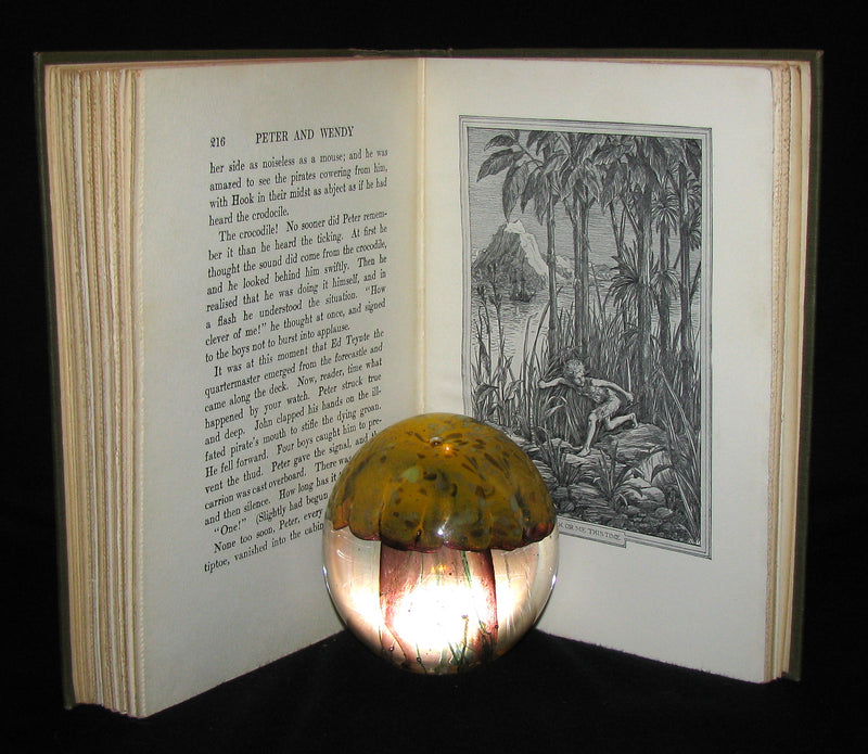 1911 Rare Book  - Peter Pan First Edition - Peter and Wendy by James Matthew Barrie