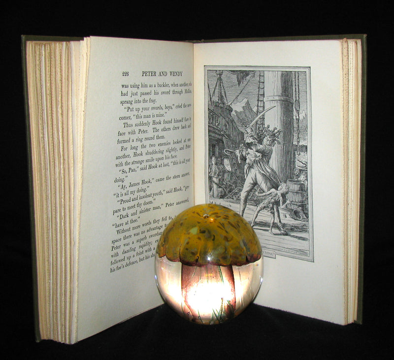 1911 Rare Book  - Peter Pan First Edition - Peter and Wendy by James Matthew Barrie