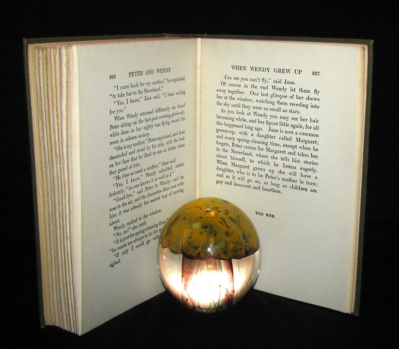 1911 Rare Book  - Peter Pan First Edition - Peter and Wendy by James Matthew Barrie