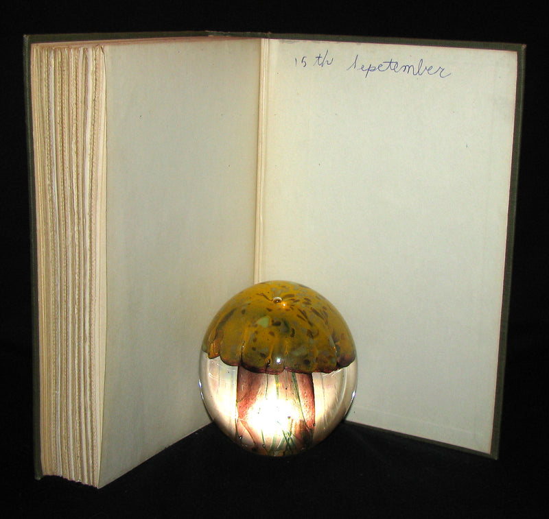 1911 Rare Book  - Peter Pan First Edition - Peter and Wendy by James Matthew Barrie