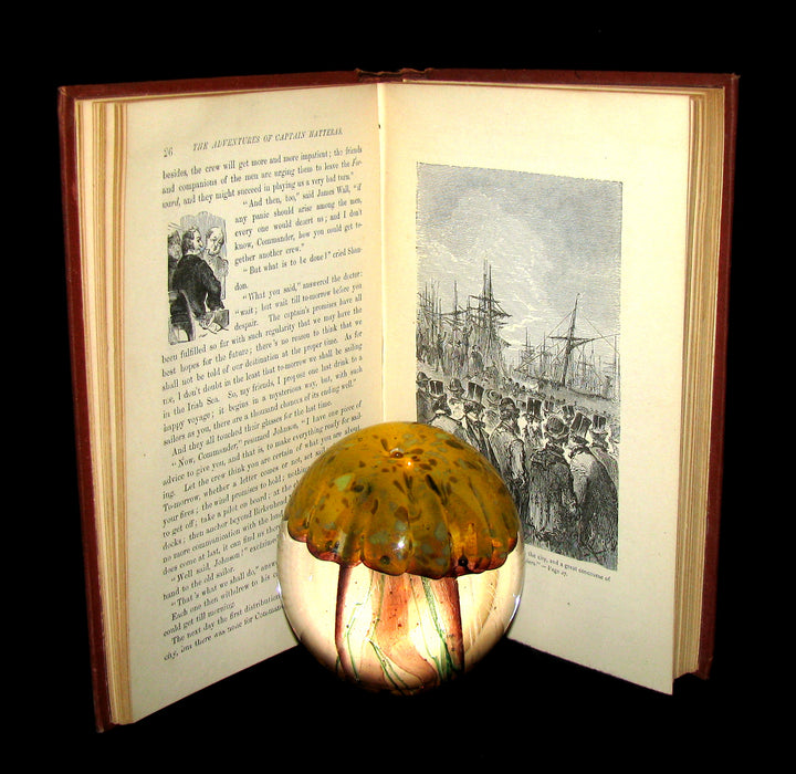 1874 Rare Book - Jules Verne - At The North Pole, or The Adventures of Captain Hatteras.