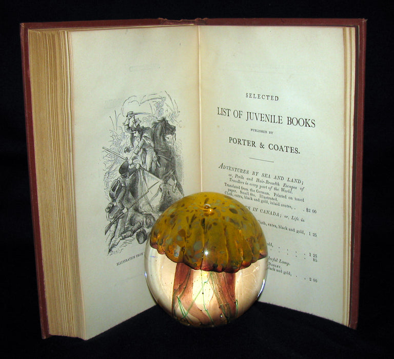 1874 Rare Book - Jules Verne - At The North Pole, or The Adventures of Captain Hatteras.