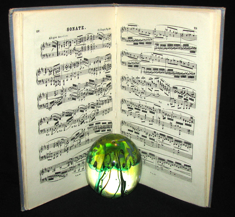 1878 Very Rare early edition of Frederick CHOPIN 's SONATAS - Opus 35 & Opus 58