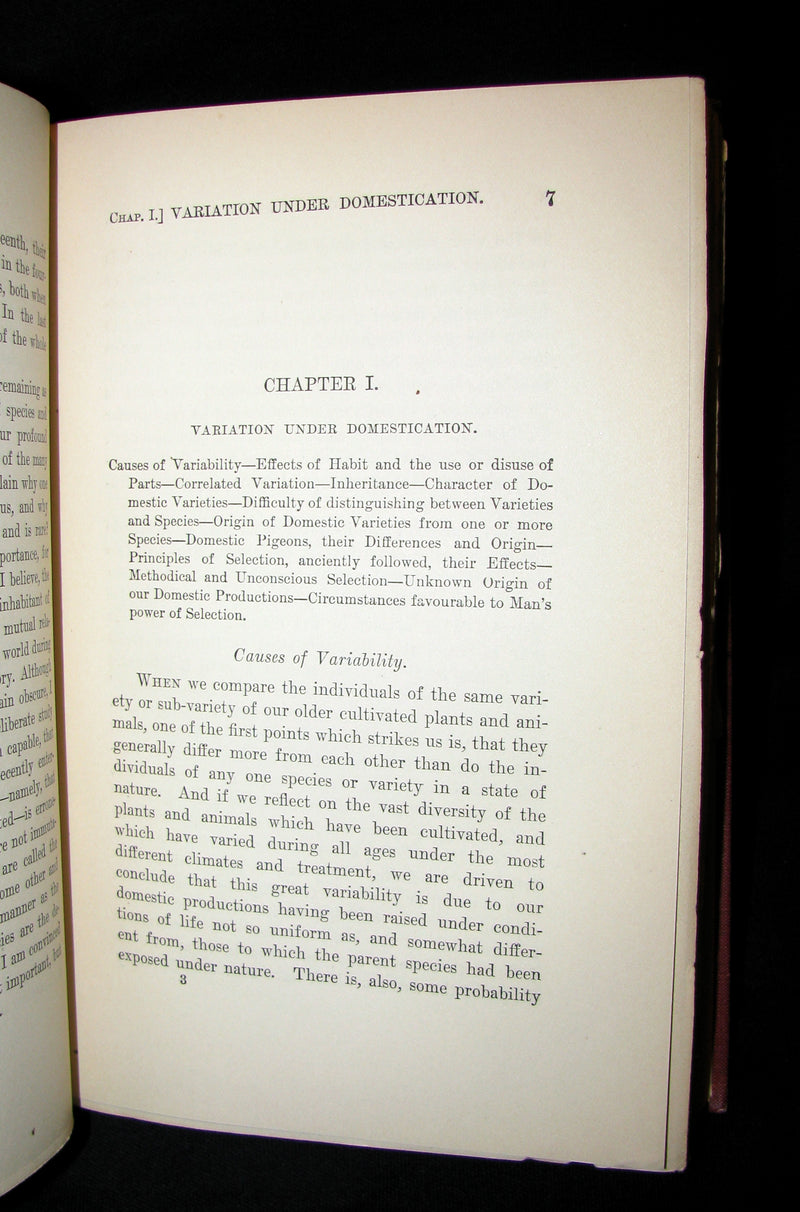 1898 Rare Book set - CHARLES DARWIN The ORIGIN OF SPECIES - Natural Selection.