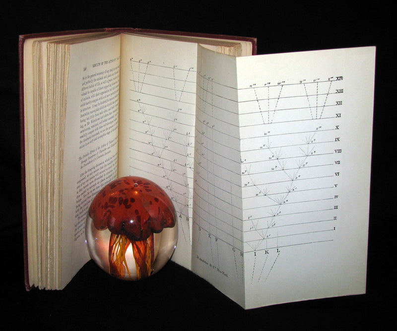 1898 Rare Book set - CHARLES DARWIN The ORIGIN OF SPECIES - Natural Selection.