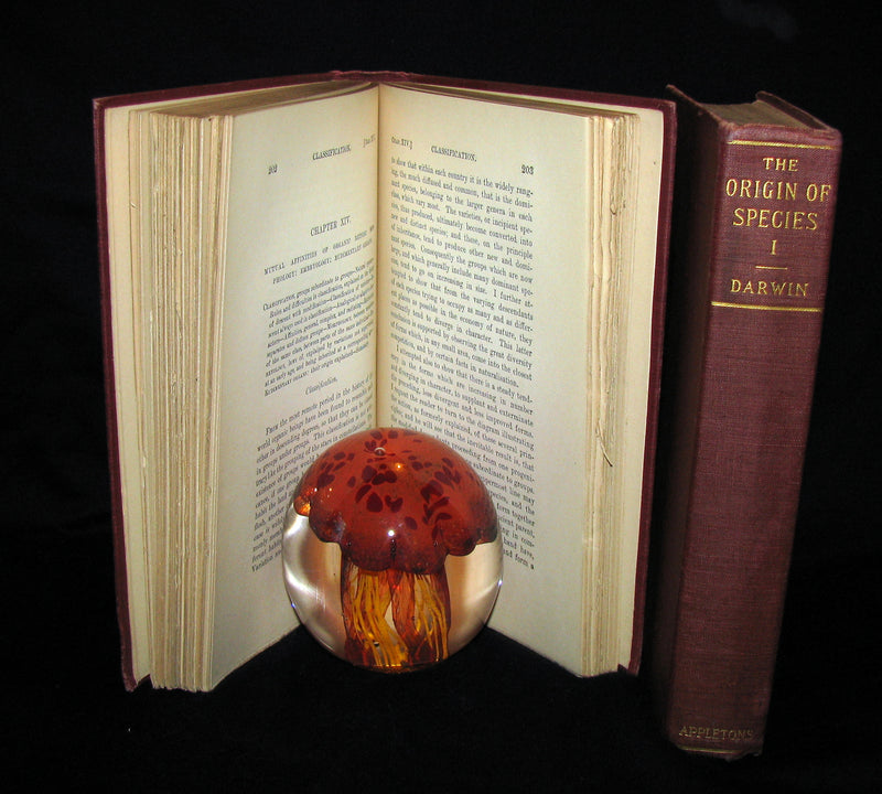 1898 Rare Book set - CHARLES DARWIN The ORIGIN OF SPECIES - Natural Selection.