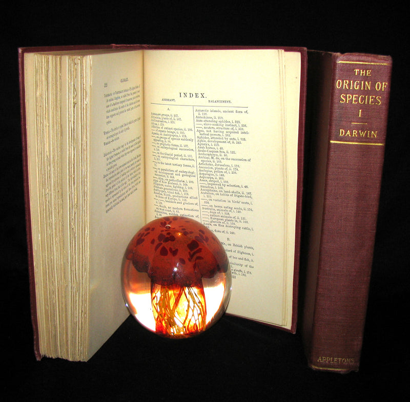 1898 Rare Book set - CHARLES DARWIN The ORIGIN OF SPECIES - Natural Selection.