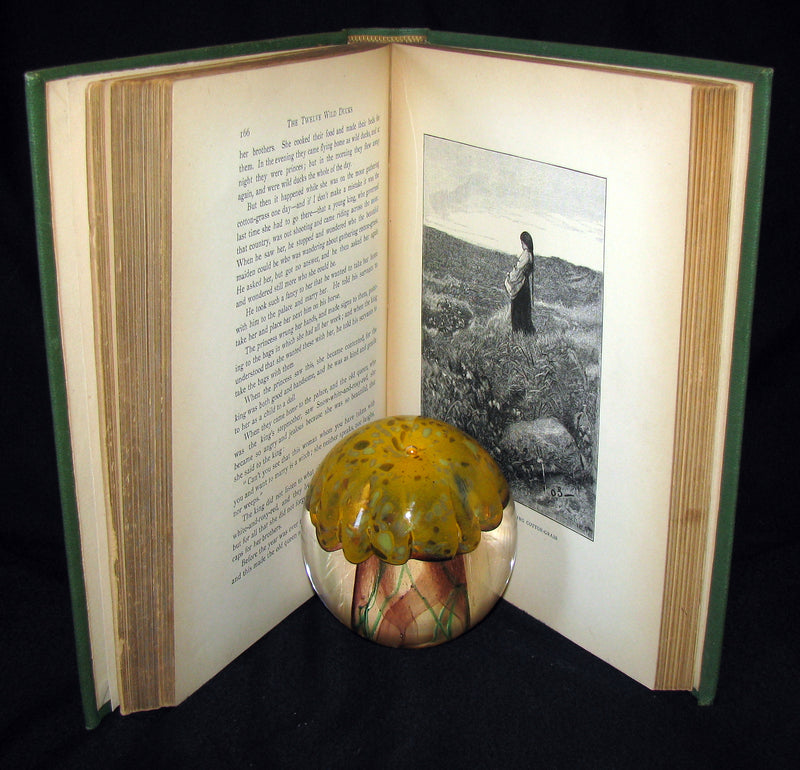 1897 Scarce Norwegian 1stED Book - Fairy Tales from the Far North by P. C. Asbjørnsen