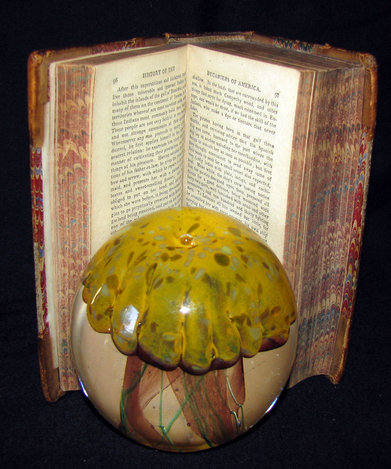 1810 Rare Book - HISTORY OF THE BUCANIERS (BUCCANIERS) OF AMERICA - PIRATES