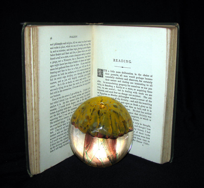 1886 Rare Victorian Book - WALDEN or, Life in the Woods by Henry David Thoreau