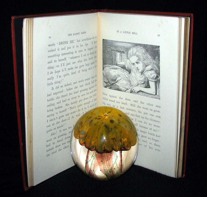 1897 Rare Victorian Book - Alice's Adventures in Wonderland by Lewis Carroll