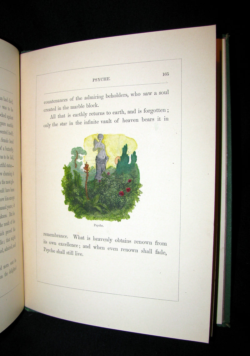 1863 Scarce Victorian Book -  The Ice-Maiden by Hans Christian Andersen illustrated by Zwecker