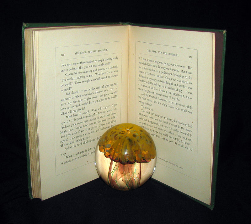 1863 Scarce Victorian Book -  The Ice-Maiden by Hans Christian Andersen illustrated by Zwecker