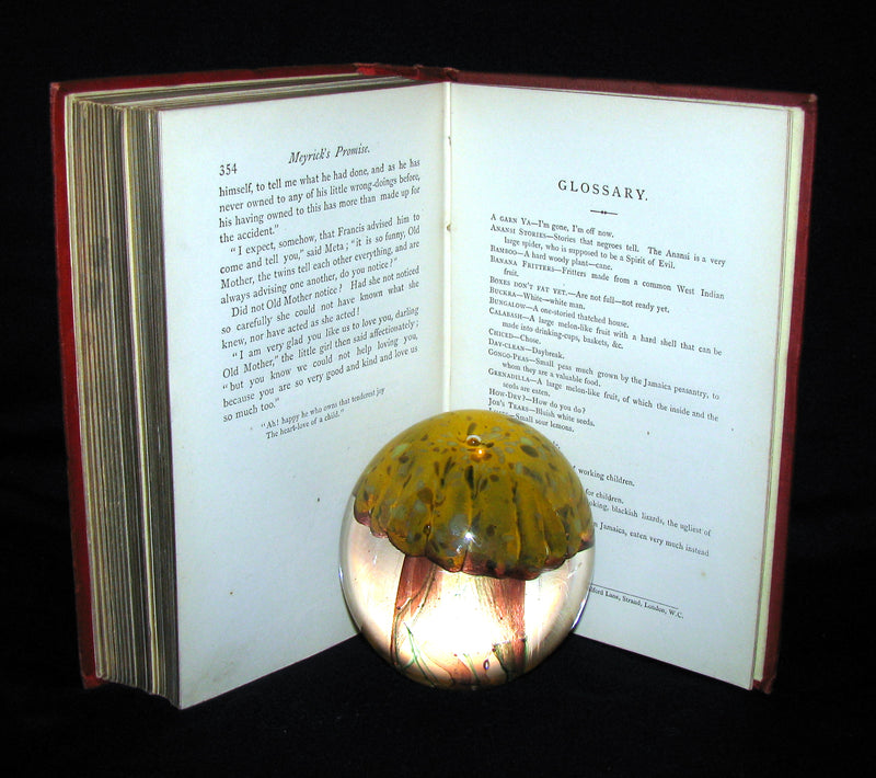 1881 Rare Book - Meyrick's Promise- Little Fugitives From The Jamaica Rebellion In 1865