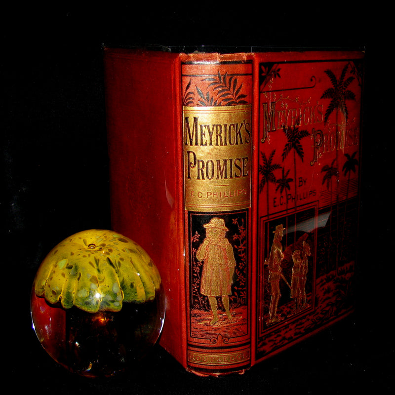1881 Rare Book - Meyrick's Promise- Little Fugitives From The Jamaica Rebellion In 1865