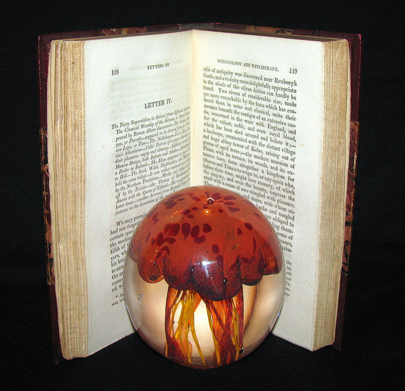 1830 1stED Walter Scott - Letters on Demonology & Witchcraft - WITCHES & FAIRIES