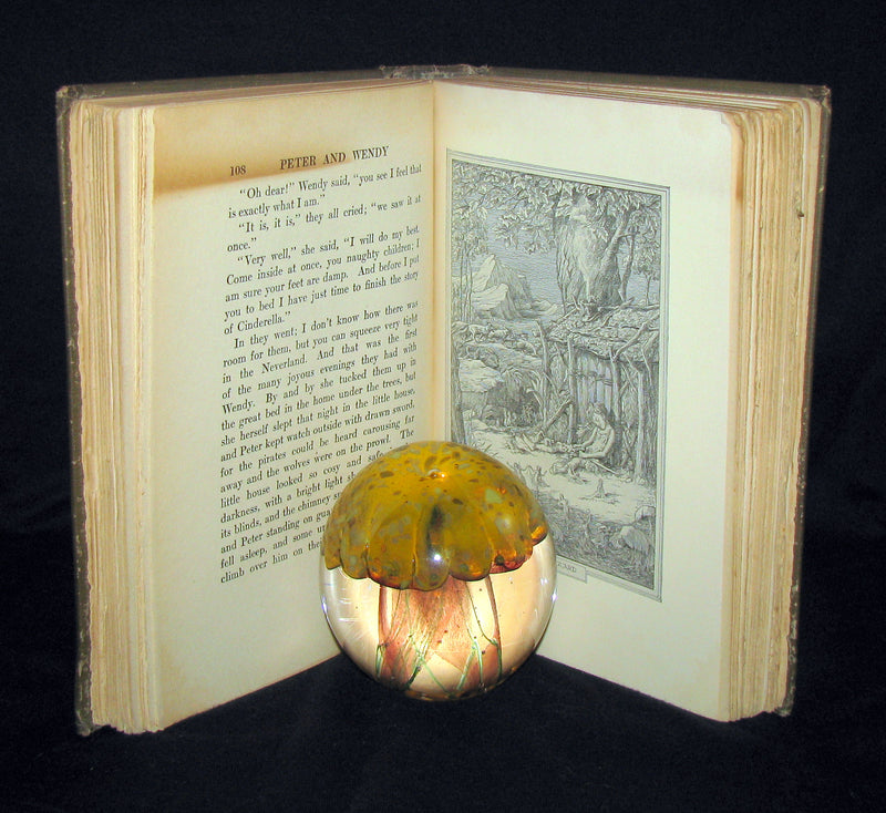 1911 Rare Book  - Peter Pan First Edition - Peter and Wendy by James Matthew Barrie