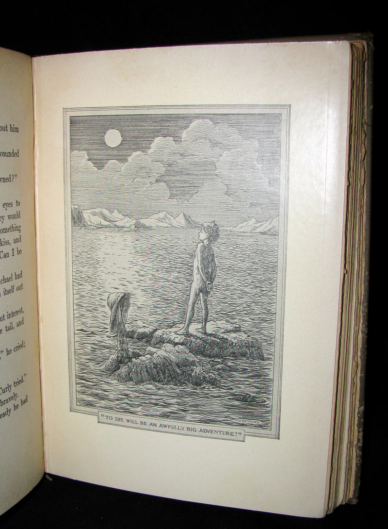 1911 Rare Book  - Peter Pan First Edition - Peter and Wendy by James Matthew Barrie