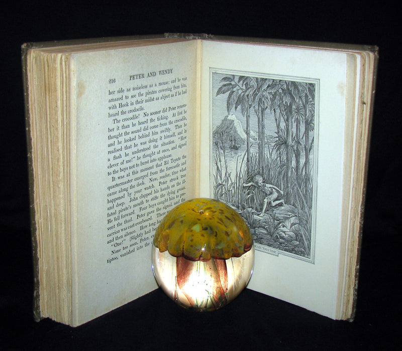 1911 Rare Book  - Peter Pan First Edition - Peter and Wendy by James Matthew Barrie