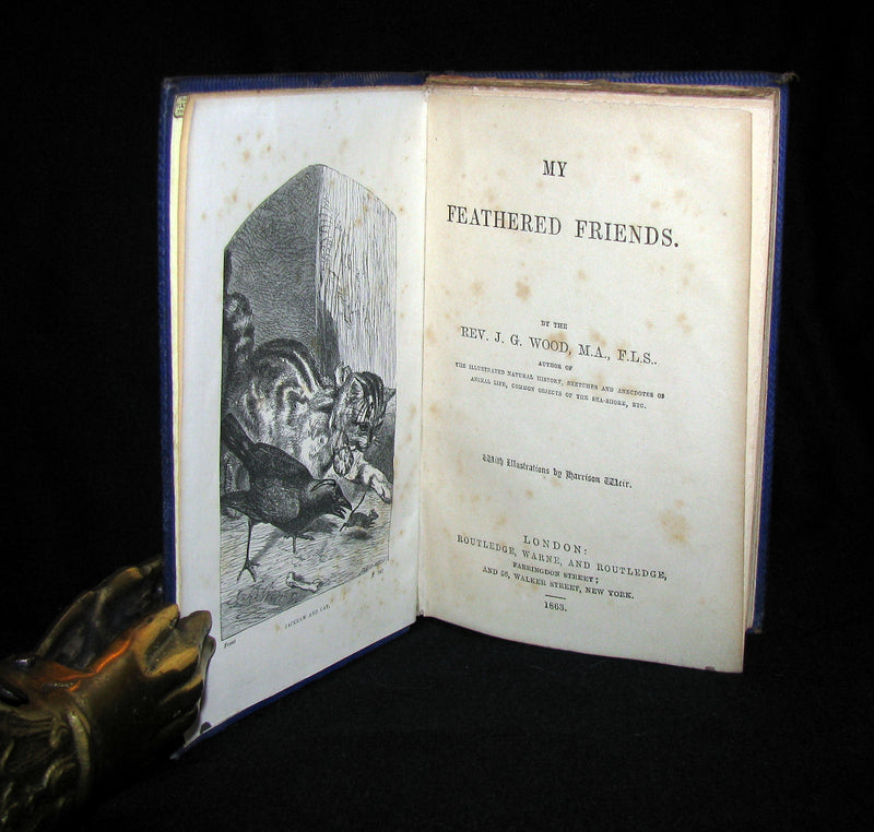 1863 Rare Book on Birds ~ My Feathered Friends by Naturalist Rev J. G. Wood