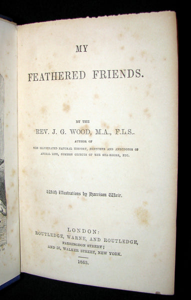 1863 Rare Book on Birds ~ My Feathered Friends by Naturalist Rev J. G. Wood