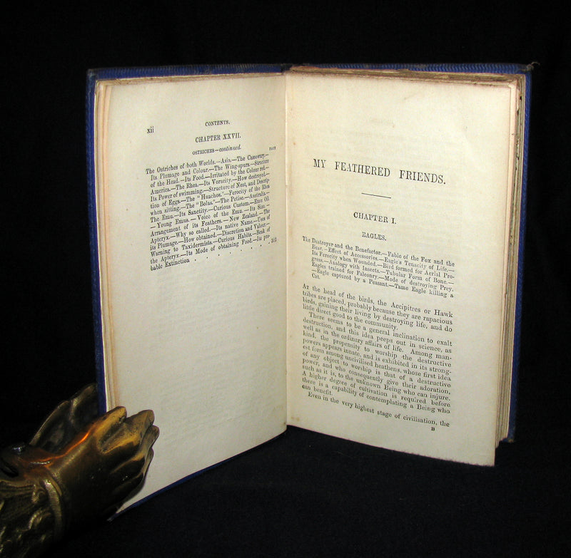 1863 Rare Book on Birds ~ My Feathered Friends by Naturalist Rev J. G. Wood
