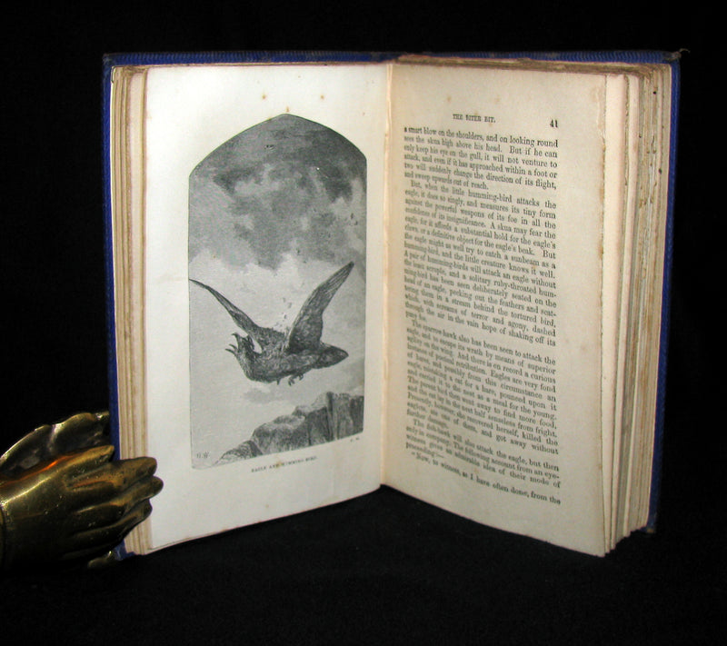 1863 Rare Book on Birds ~ My Feathered Friends by Naturalist Rev J. G. Wood