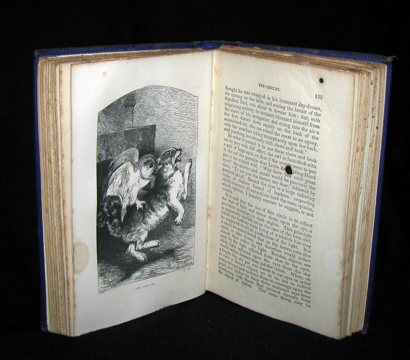 1863 Rare Book on Birds ~ My Feathered Friends by Naturalist Rev J. G. Wood