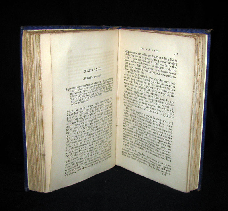 1863 Rare Book on Birds ~ My Feathered Friends by Naturalist Rev J. G. Wood