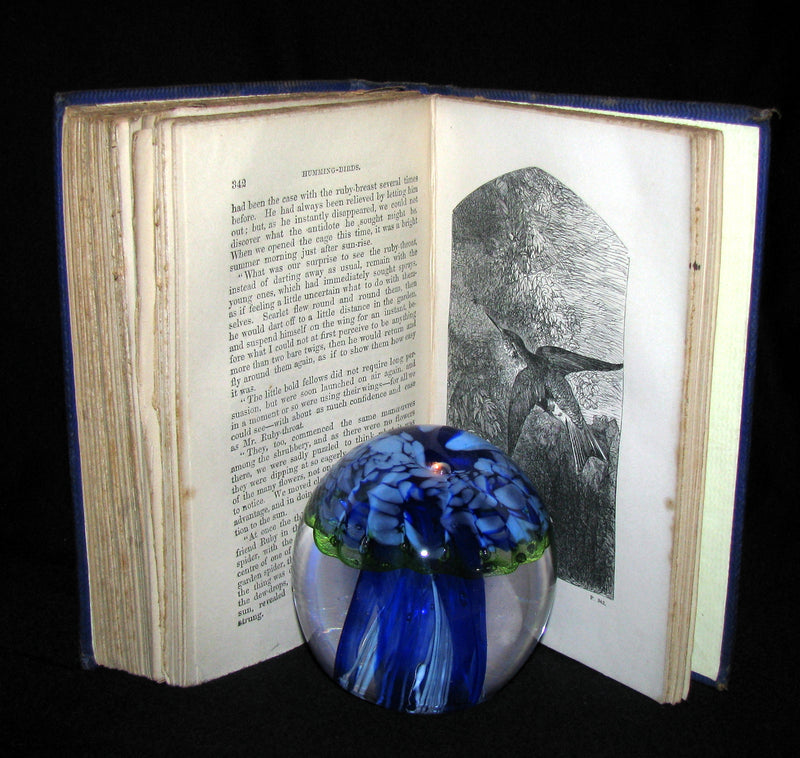 1863 Rare Book on Birds ~ My Feathered Friends by Naturalist Rev J. G. Wood