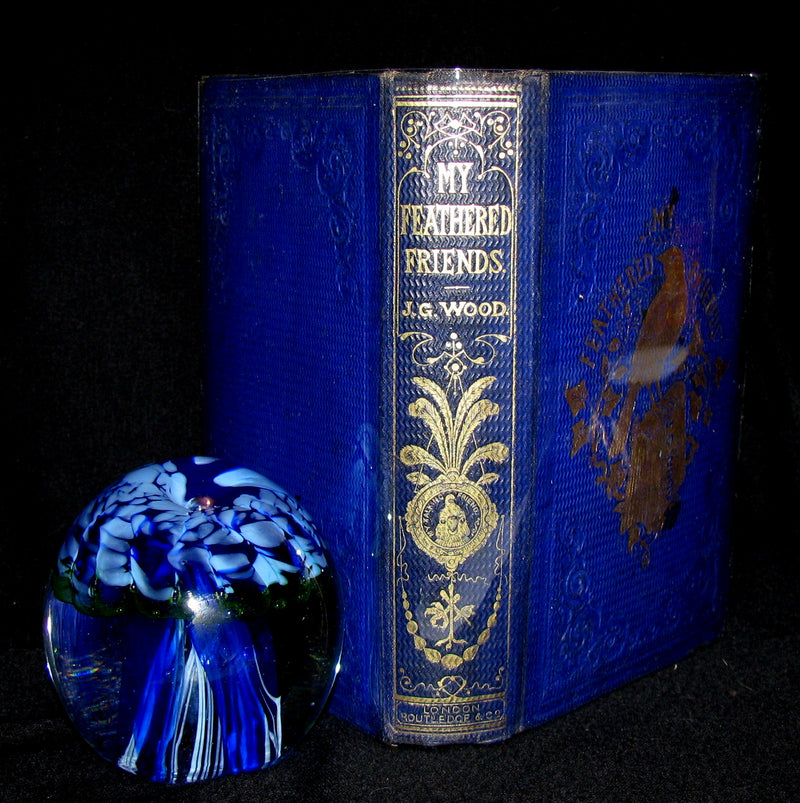 1863 Rare Book on Birds ~ My Feathered Friends by Naturalist Rev J. G. Wood