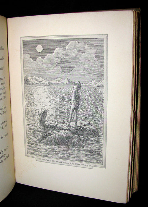 1911 Rare Book  - Peter Pan First Edition - Peter and Wendy by James Matthew Barrie