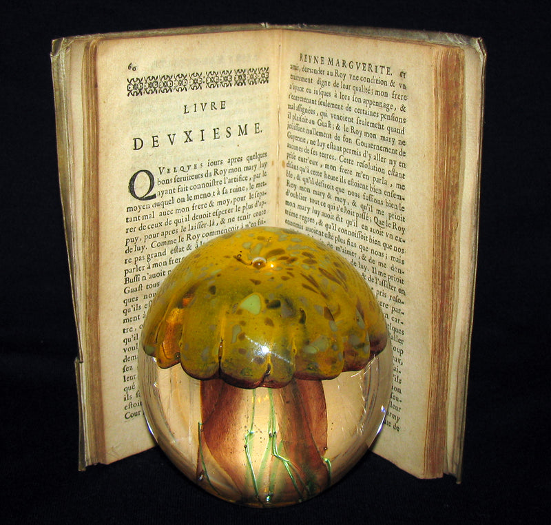 1665 Rare French Vellum Book - Memories of la Reine Margot (Queen Margot)