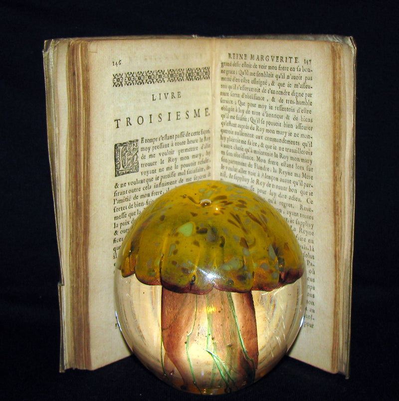 1665 Rare French Vellum Book - Memories of la Reine Margot (Queen Margot)