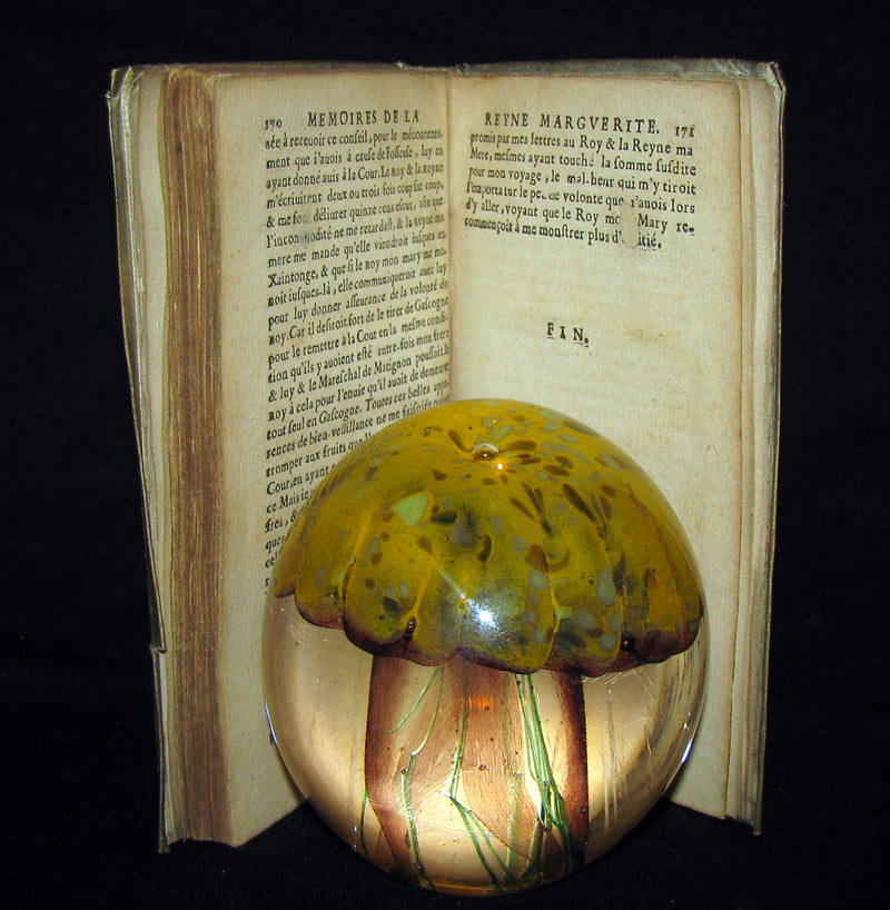 1665 Rare French Vellum Book - Memories of la Reine Margot (Queen Margot)