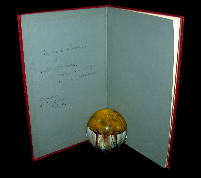 1890 Scarce COLOR illustrated French Book ~ Les Contes des Fées by Perrault - Fairy Tales