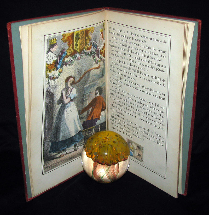 1890 Scarce COLOR illustrated French Book ~ Les Contes des Fées by Perrault - Fairy Tales