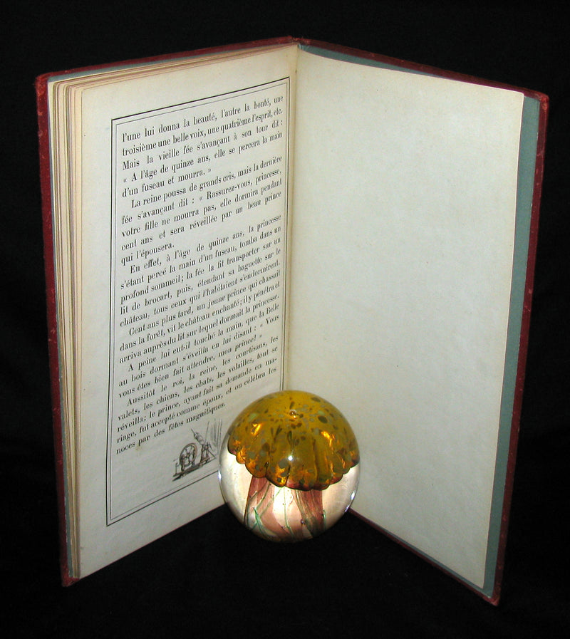 1890 Scarce COLOR illustrated French Book ~ Les Contes des Fées by Perrault - Fairy Tales