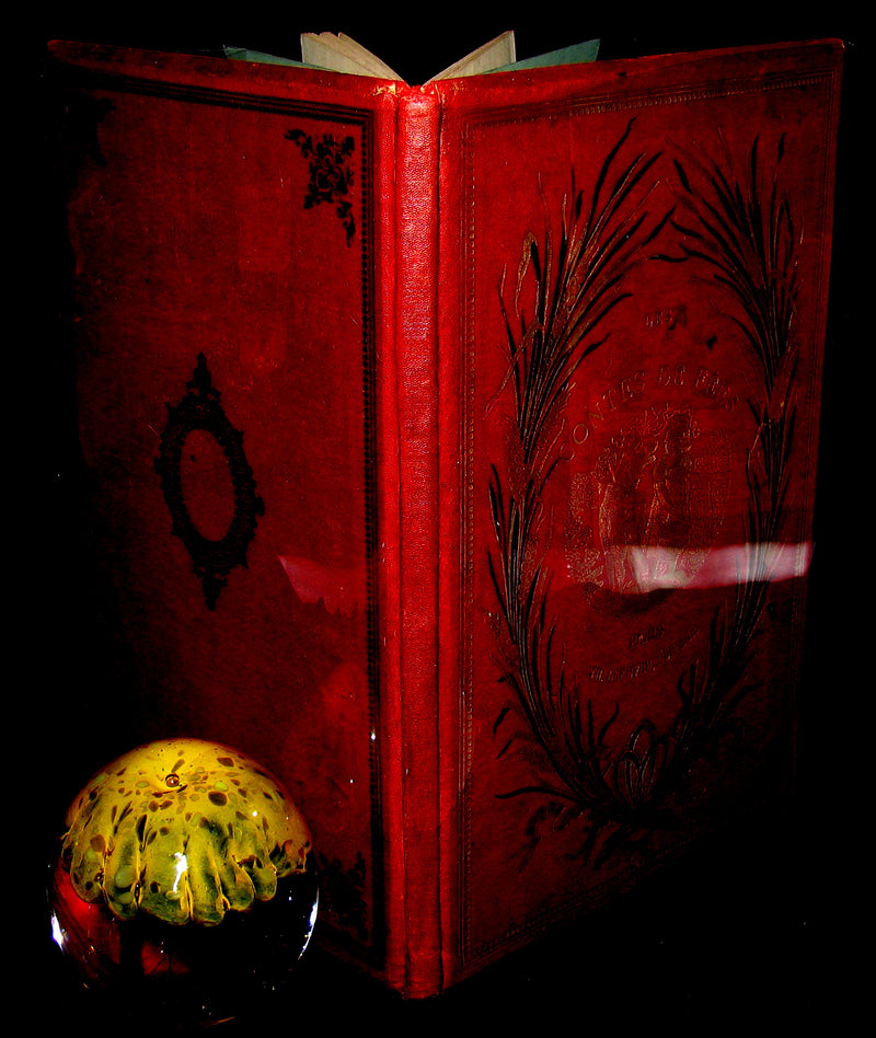 1890 Scarce COLOR illustrated French Book ~ Les Contes des Fées by Perrault - Fairy Tales