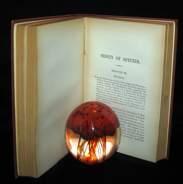 1895 Rare Book - CHARLES DARWIN The ORIGIN OF SPECIES - Natural Selection. (2 Volumes in 1).