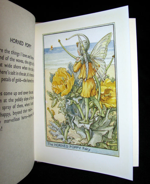 1930's Book - Cicely Mary Barker - FLOWER FAIRIES OF THE WAYSIDE
