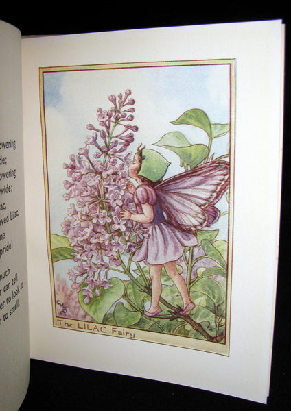 1930's Book - Cicely Mary Barker - FLOWER FAIRIES OF THE TREES