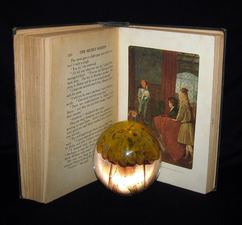 1911 Rare First Edition Book - The Secret Garden by Frances Hodgson Burnett.