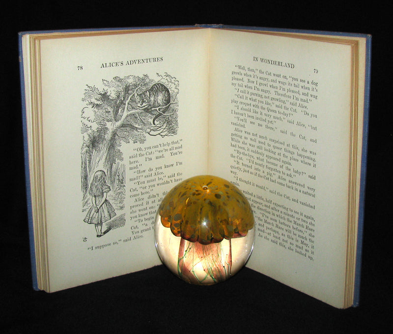 1925 Rare Edition - Alice's Adventures in Wonderland illustrated by Eleonore Abbott