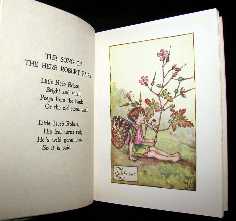 1930's Book - Cicely Mary Barker - FLOWER FAIRIES OF THE SUMMER