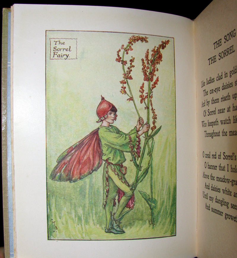 1930's Book - Cicely Mary Barker - FLOWER FAIRIES OF THE SUMMER