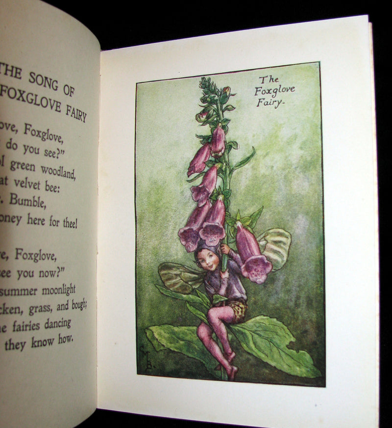 1930's Book - Cicely Mary Barker - FLOWER FAIRIES OF THE SUMMER