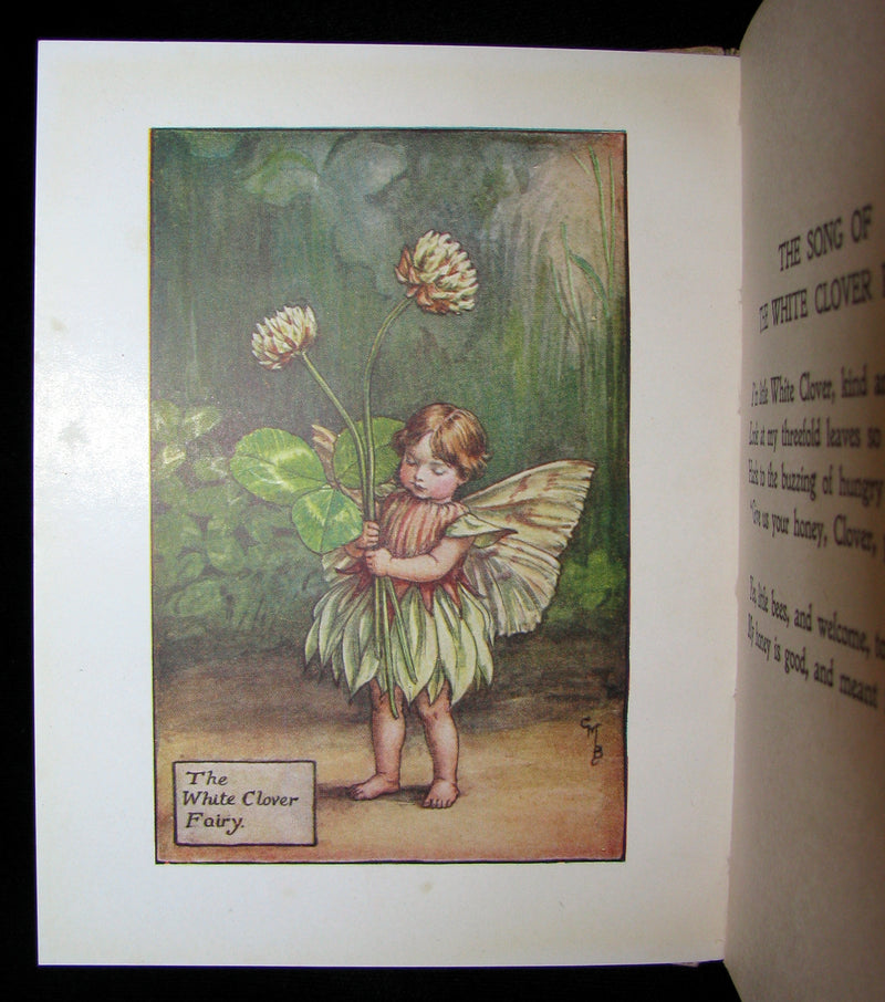 1930's Book - Cicely Mary Barker - FLOWER FAIRIES OF THE SUMMER