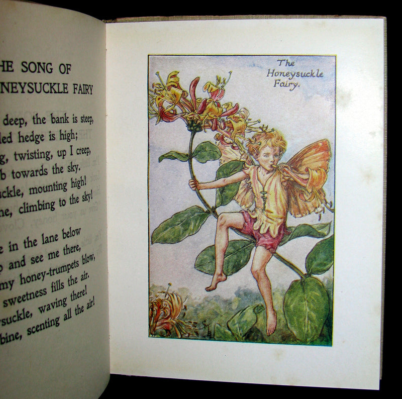 1930's Book - Cicely Mary Barker - FLOWER FAIRIES OF THE SUMMER